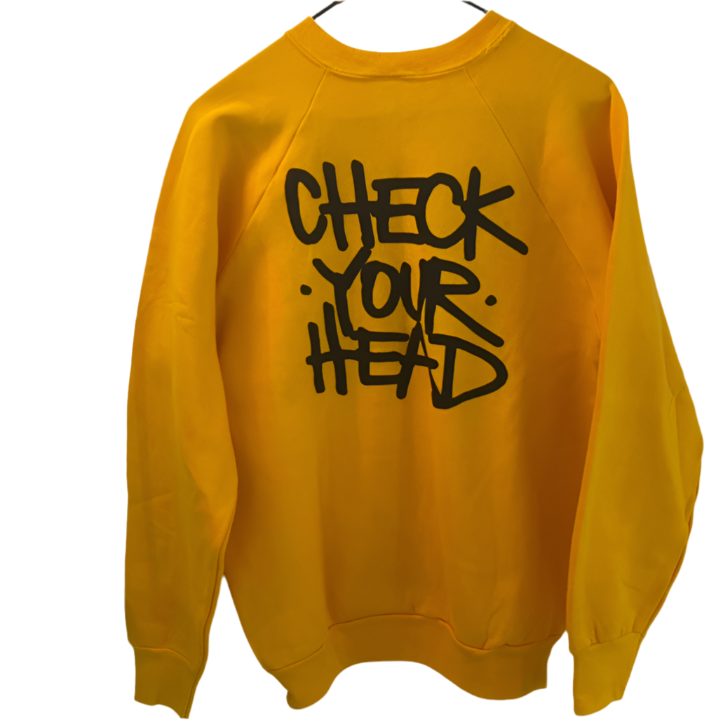Vintage Beastie Boys Check Your Head Sweatshirt