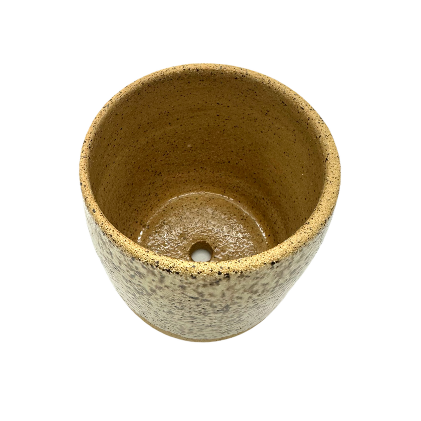 Lucky Penny Medium Planter